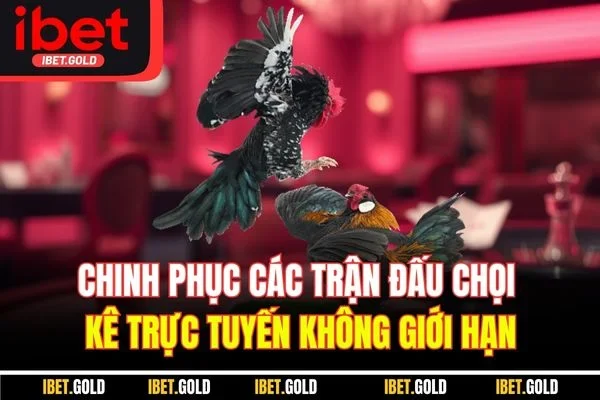 Chinh phục các trận đấu chọi kê trực tuyến không giới hạn