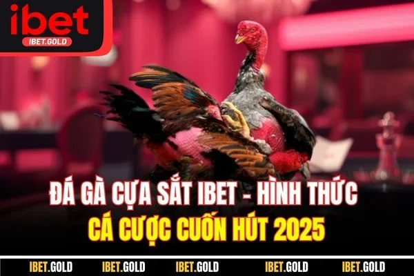 Đá Gà Cựa Sắt IBET - Hình Thức Cá Cược Cuốn Hút 2025