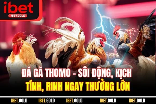 Đá Gà Thomo - Sôi Động, Kịch Tính, Rinh Ngay Thưởng Lớn