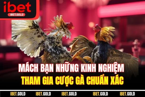 Mách bạn những kinh nghiệm tham gia cược gà chuẩn xác