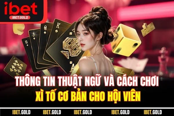 Thông tin thuật ngữ và cách chơi xì tố cơ bản cho hội viên